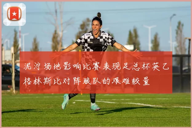 泥泞场地影响比赛表现足总杯英乙格林斯比对阵狼队的艰难较量