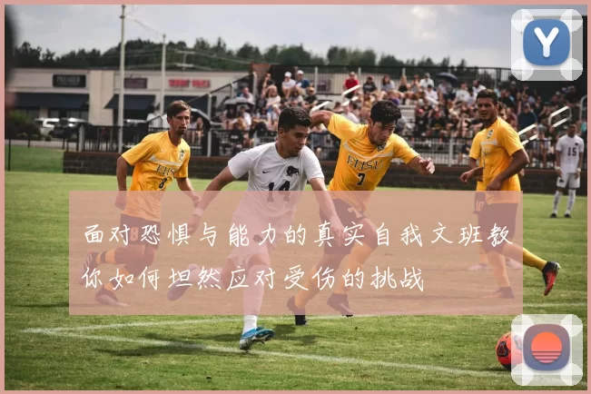 面对恐惧与能力的真实自我文班教你如何坦然应对受伤的挑战