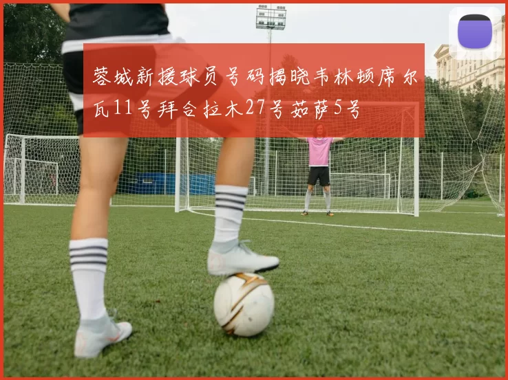 蓉城新援球员号码揭晓韦林顿席尔瓦11号拜合拉木27号茹萨5号
