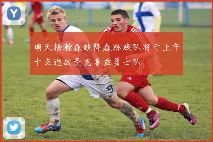 明天杨瀚森缺阵森林狼队将于上午十点迎战圣克鲁兹勇士队
